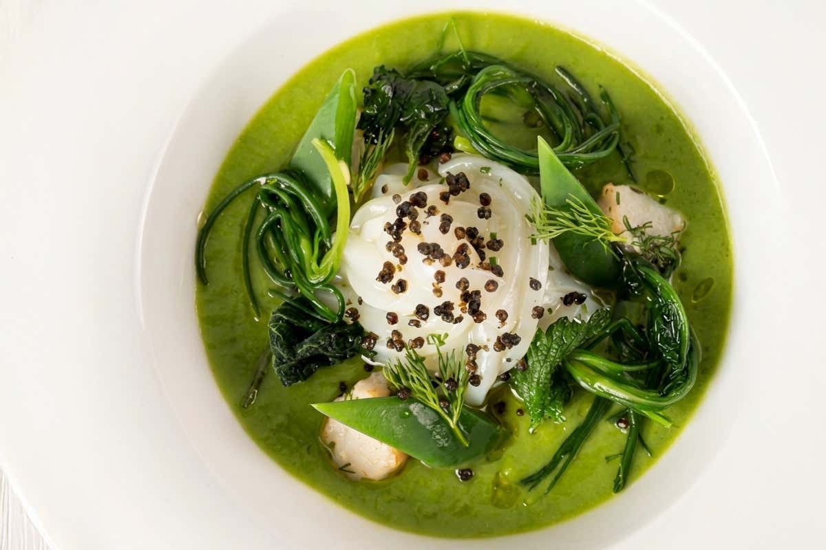 Zuppetta di erbe spontanee, spaghetti di calamari, caviale croccante